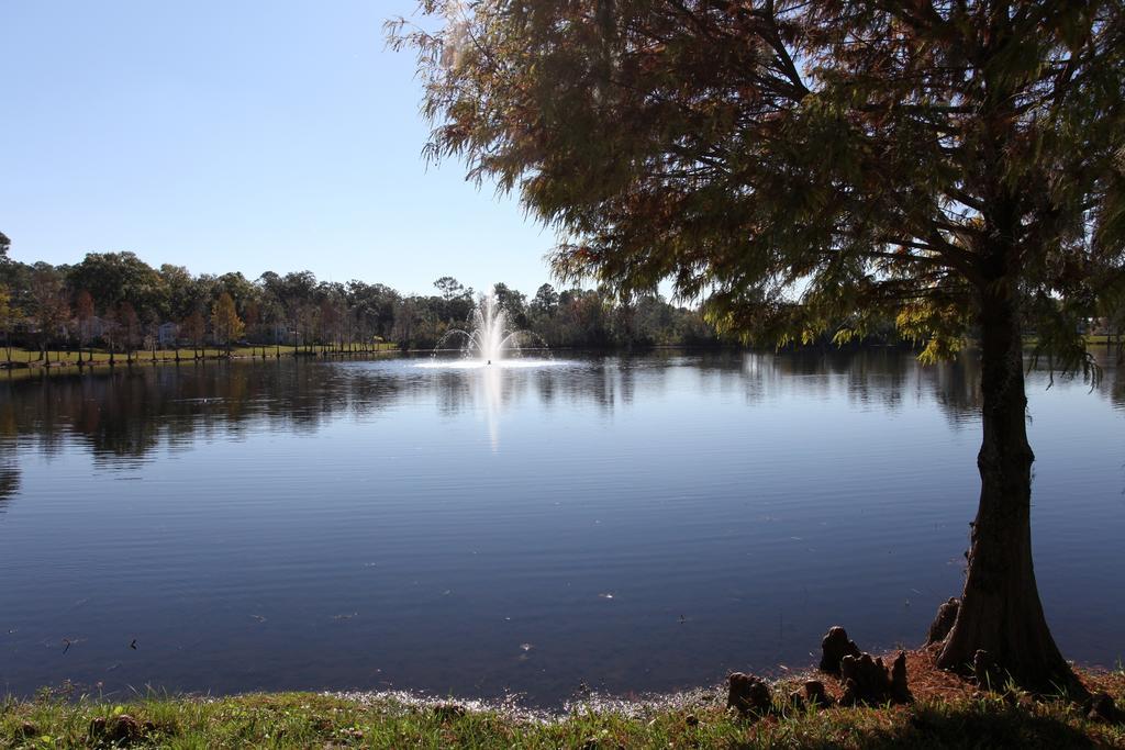 Sherwood Forest Cottage 3 Kissimmee Dış mekan fotoğraf